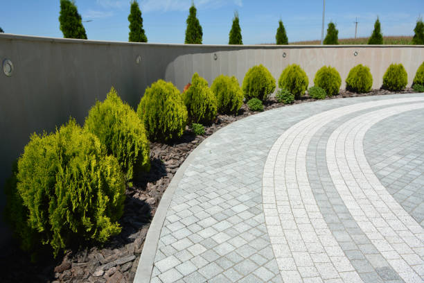 Best Driveway Paving Contractor  in Evansville, WY